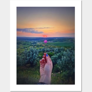 woman hand holding a gentle purple flower Posters and Art